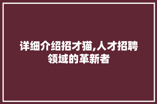 详细介绍招才猫,人才招聘领域的革新者