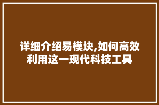 详细介绍易模块,如何高效利用这一现代科技工具