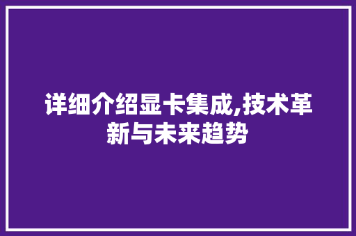 详细介绍显卡集成,技术革新与未来趋势