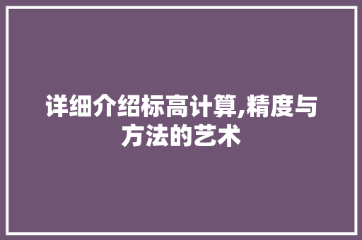 详细介绍标高计算,精度与方法的艺术
