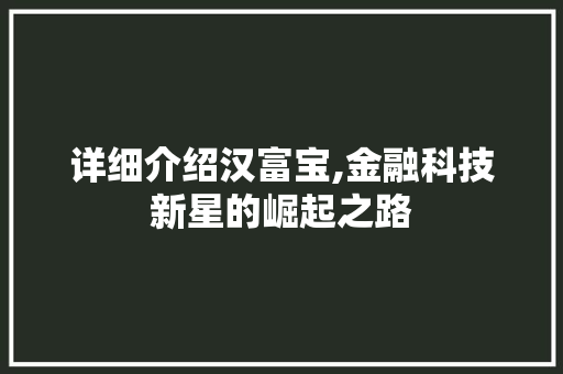 详细介绍汉富宝,金融科技新星的崛起之路 服务器/数据库