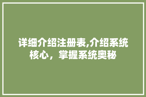 详细介绍注册表,介绍系统核心，掌握系统奥秘