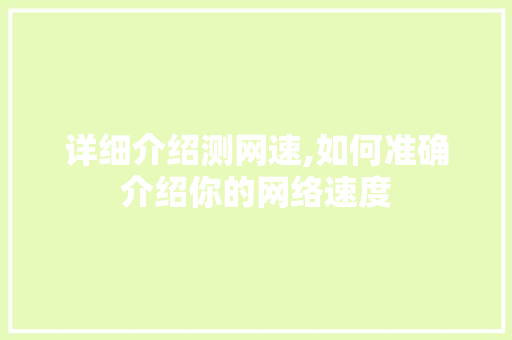 详细介绍测网速,如何准确介绍你的网络速度
