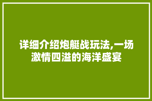 详细介绍炮艇战玩法,一场激情四溢的海洋盛宴