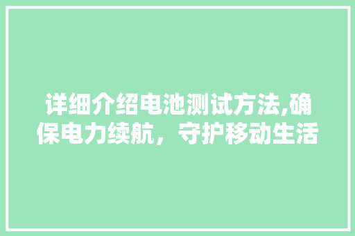 详细介绍电池测试方法,确保电力续航，守护移动生活 友链在线