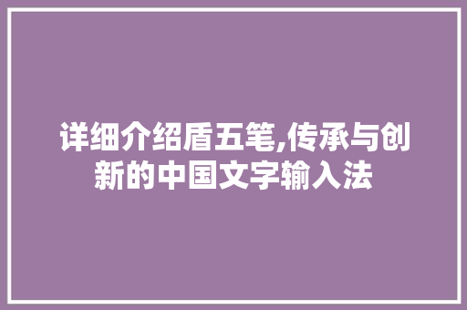 详细介绍盾五笔,传承与创新的中国文字输入法