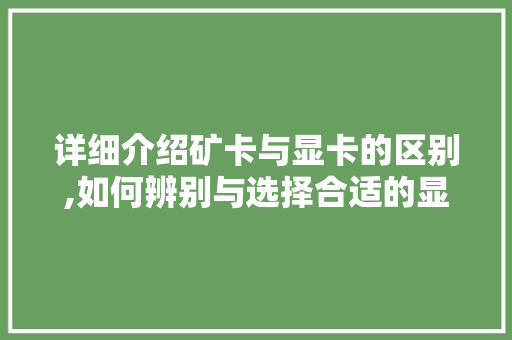 详细介绍矿卡与显卡的区别,如何辨别与选择合适的显卡