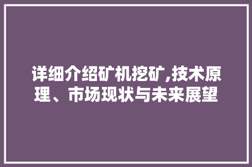 详细介绍矿机挖矿,技术原理、市场现状与未来展望