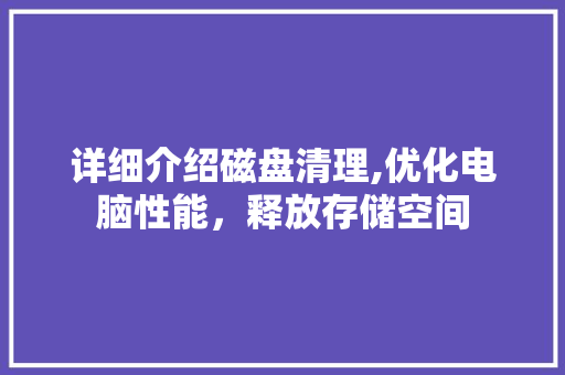 详细介绍磁盘清理,优化电脑性能，释放存储空间