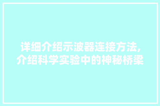 详细介绍示波器连接方法,介绍科学实验中的神秘桥梁