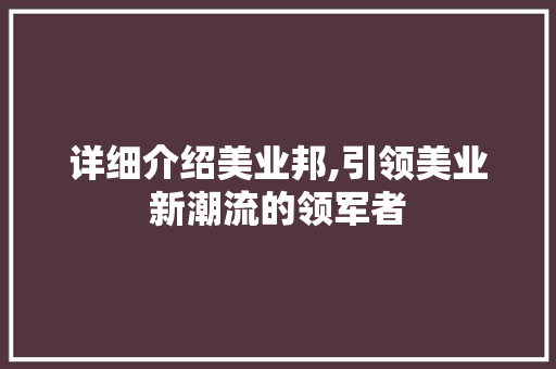 详细介绍美业邦,引领美业新潮流的领军者 服务器/数据库