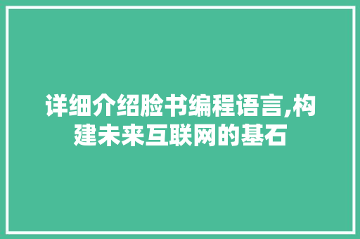 详细介绍脸书编程语言,构建未来互联网的基石 SEO教程