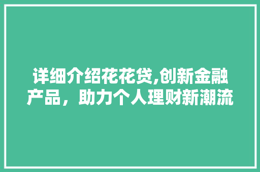 详细介绍花花贷,创新金融产品，助力个人理财新潮流