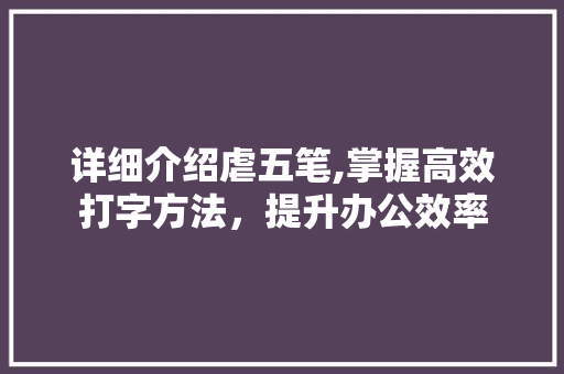详细介绍虐五笔,掌握高效打字方法，提升办公效率