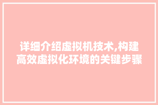 详细介绍虚拟机技术,构建高效虚拟化环境的关键步骤
