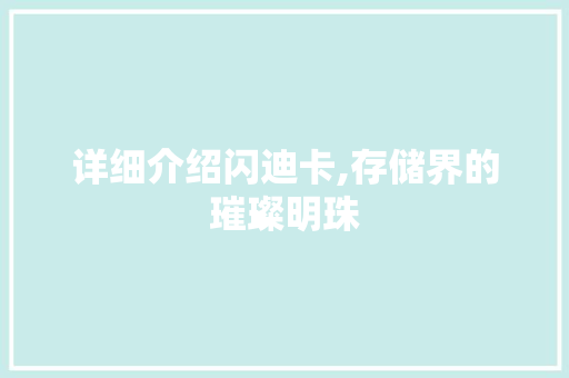 详细介绍闪迪卡,存储界的璀璨明珠