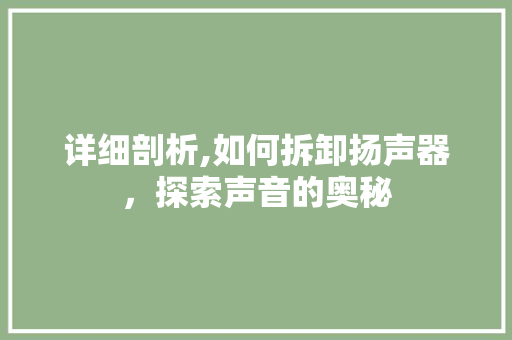 详细剖析,如何拆卸扬声器，探索声音的奥秘 WordPress教程