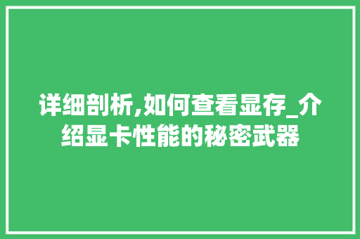 详细剖析,如何查看显存_介绍显卡性能的秘密武器