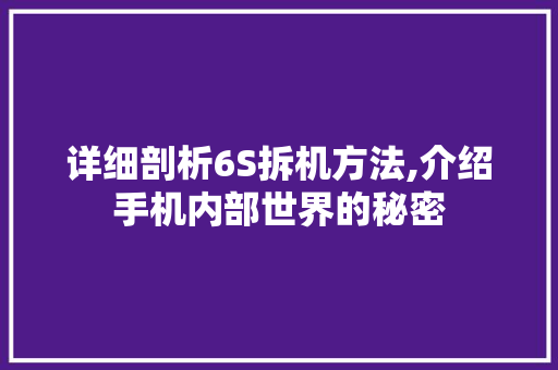 详细剖析6S拆机方法,介绍手机内部世界的秘密 友链在线