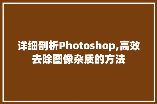 详细剖析Photoshop,高效去除图像杂质的方法