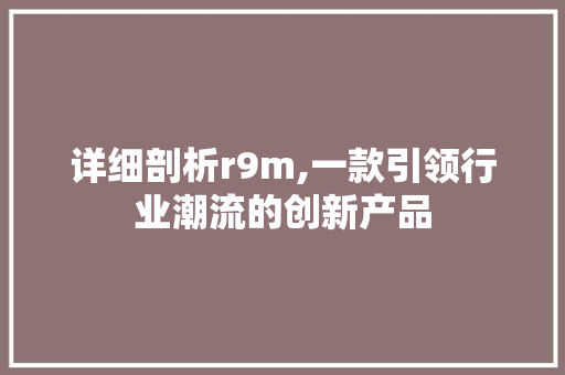 详细剖析r9m,一款引领行业潮流的创新产品