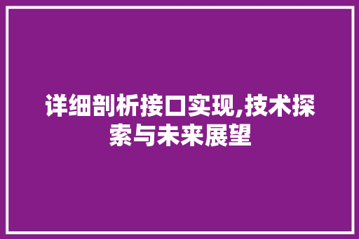 详细剖析接口实现,技术探索与未来展望 WordPress教程