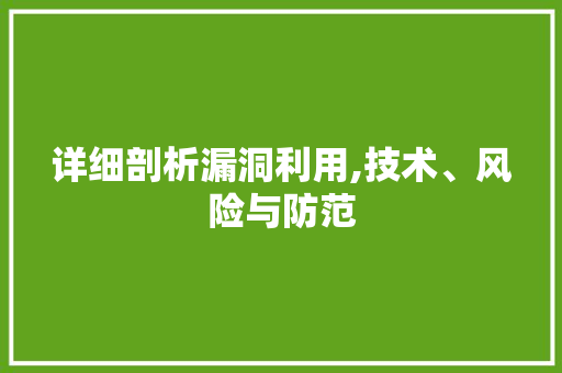 详细剖析漏洞利用,技术、风险与防范