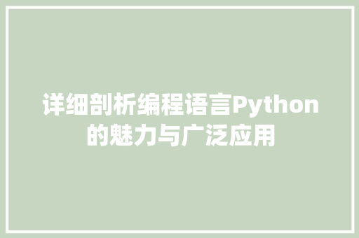 详细剖析编程语言Python的魅力与广泛应用 SEO教程