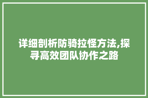 详细剖析防骑拉怪方法,探寻高效团队协作之路