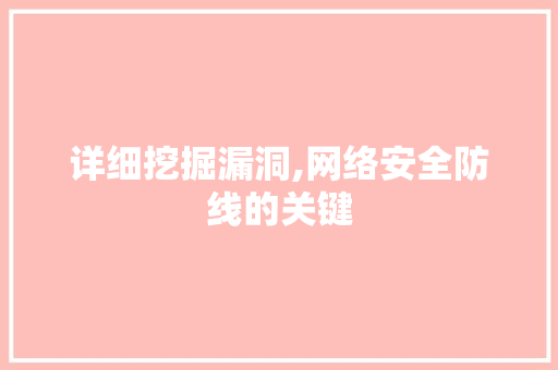 详细挖掘漏洞,网络安全防线的关键 WordPress教程