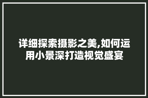 详细探索摄影之美,如何运用小景深打造视觉盛宴