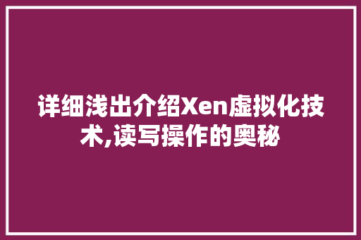详细浅出介绍Xen虚拟化技术,读写操作的奥秘 SEO教程