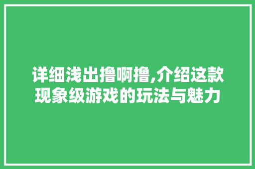 详细浅出撸啊撸,介绍这款现象级游戏的玩法与魅力 SEO教程