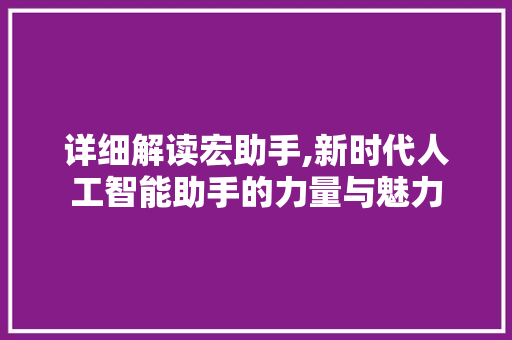 详细解读宏助手,新时代人工智能助手的力量与魅力 友链在线