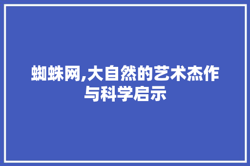 蜘蛛网,大自然的艺术杰作与科学启示