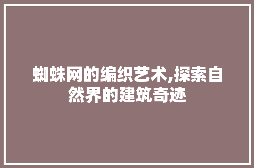 蜘蛛网的编织艺术,探索自然界的建筑奇迹