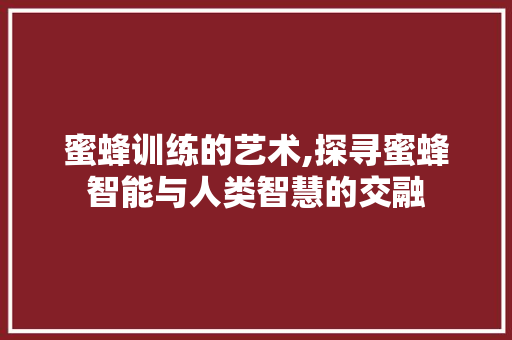 蜜蜂训练的艺术,探寻蜜蜂智能与人类智慧的交融