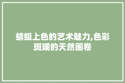 蜻蜓上色的艺术魅力,色彩斑斓的天然画卷