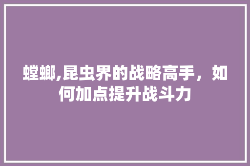 螳螂,昆虫界的战略高手，如何加点提升战斗力