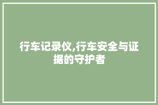 行车记录仪,行车安全与证据的守护者