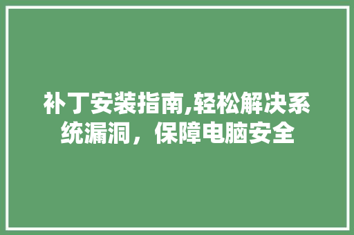 补丁安装指南,轻松解决系统漏洞，保障电脑安全