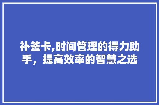 补签卡,时间管理的得力助手，提高效率的智慧之选
