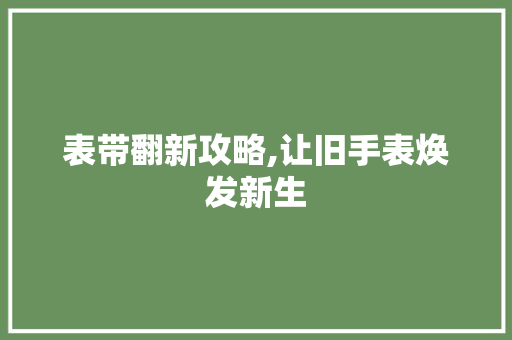 表带翻新攻略,让旧手表焕发新生