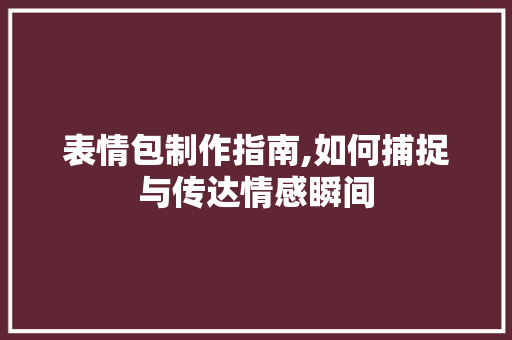 表情包制作指南,如何捕捉与传达情感瞬间