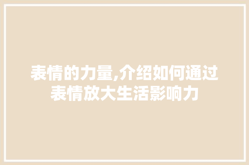 表情的力量,介绍如何通过表情放大生活影响力