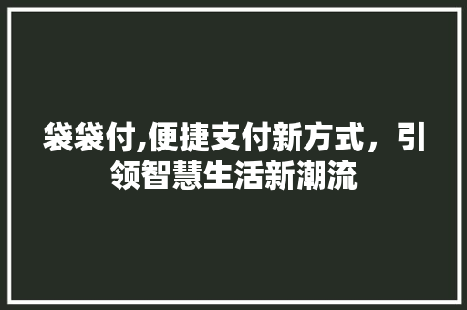 袋袋付,便捷支付新方式，引领智慧生活新潮流