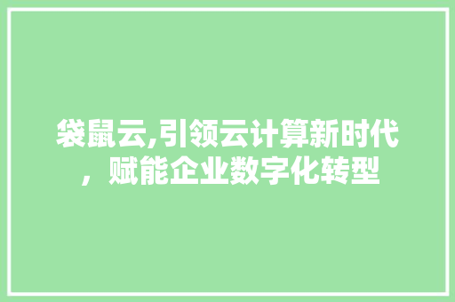 袋鼠云,引领云计算新时代，赋能企业数字化转型