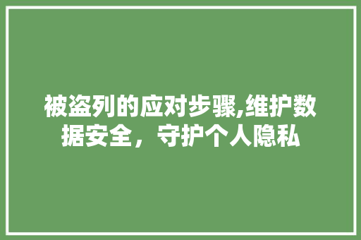 被盗列的应对步骤,维护数据安全，守护个人隐私