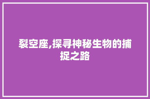 裂空座,探寻神秘生物的捕捉之路