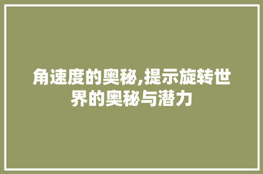 角速度的奥秘,提示旋转世界的奥秘与潜力